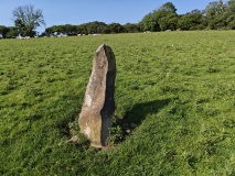 Tre-llwyn Fawr