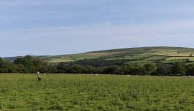Tre-llwyn Fawr