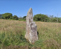 Trellwyn-fach