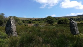 Waun Llwyd.