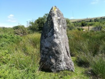 Waun Llwyd.