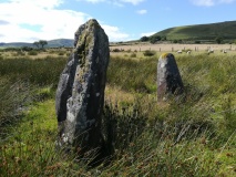 Mynachlog-ddu stones