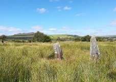 Mynachlog-ddu stones