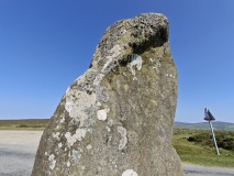 Bedd Morris