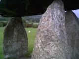 Pentre Ifan - PID:14253