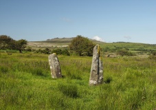 Mynachlog-ddu stones