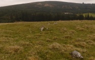 Mynydd Du - PID:256375