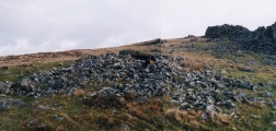 Carn Menyn - PID:17369