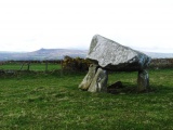 Llech Y Dribedd - PID:38316