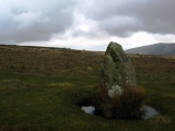 Waun Mawn W - PID:38324