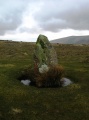 Waun Mawn W - PID:38325