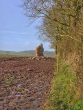 Harold Stone (Bosherton) - PID:303298
