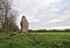 Harold Stone (Bosherton)