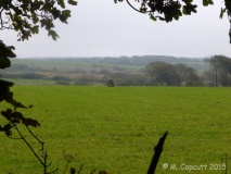 Trehale Stone