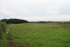 Dry Burrows