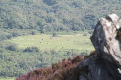 Brithdir Mawr stone circle