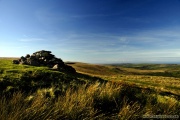 Foel Cwmcerwyn - PID:35396