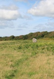 Devil's Quoit (Stackpole)