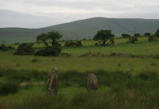 Mynachlog-ddu stones