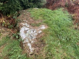 Garn Wen 4 - PID:283095