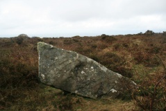 Garn Gilfach Standing Stone