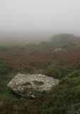 Garn Gilfach.