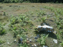 Stackpole Warren