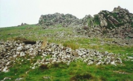 Carn Meini Tomb