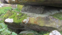Banc Llwydlos - PID:205457