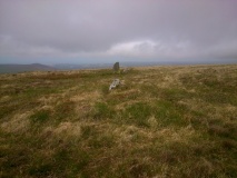 Cerrig Lladron Stones