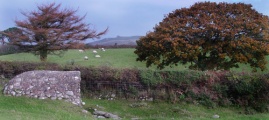 Llanllawer Holy Well - PID:25531