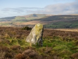 Dolaumaen Standing Stone - PID:267280