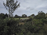 Modern Stone Circle at Ty'r-bwlch - PID:234653