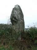Llanfyrnach A