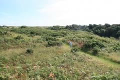 Bosherston