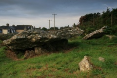 Garn Wen 1