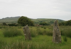 Mynachlog-ddu stones