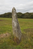 Dinas Cross Stone