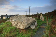 Garn Wen 3