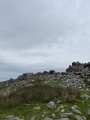 Carn Alw - PID:265494