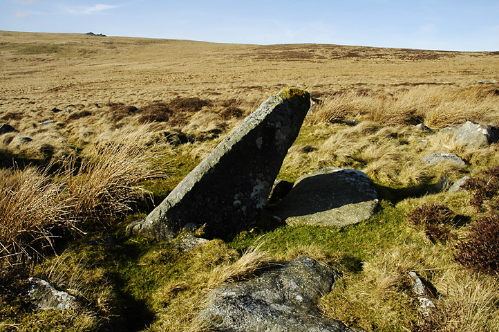 Click for the gallery page to add comments and vote (PID:75654) Carn Breseb Pointer