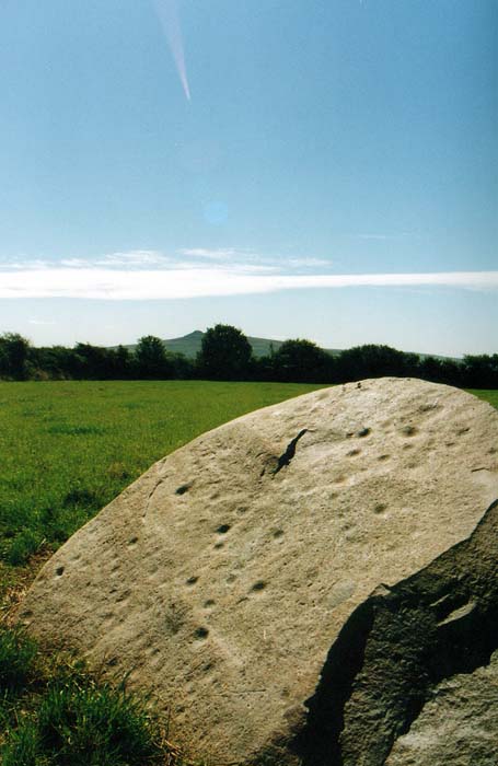 Click for the gallery page to add comments and vote (PID:1619) Trefael