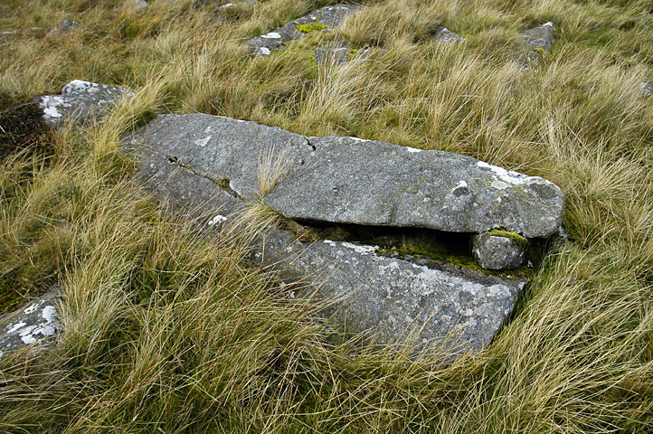 Click for the gallery page to add comments and vote (PID:89375) Carn Meini