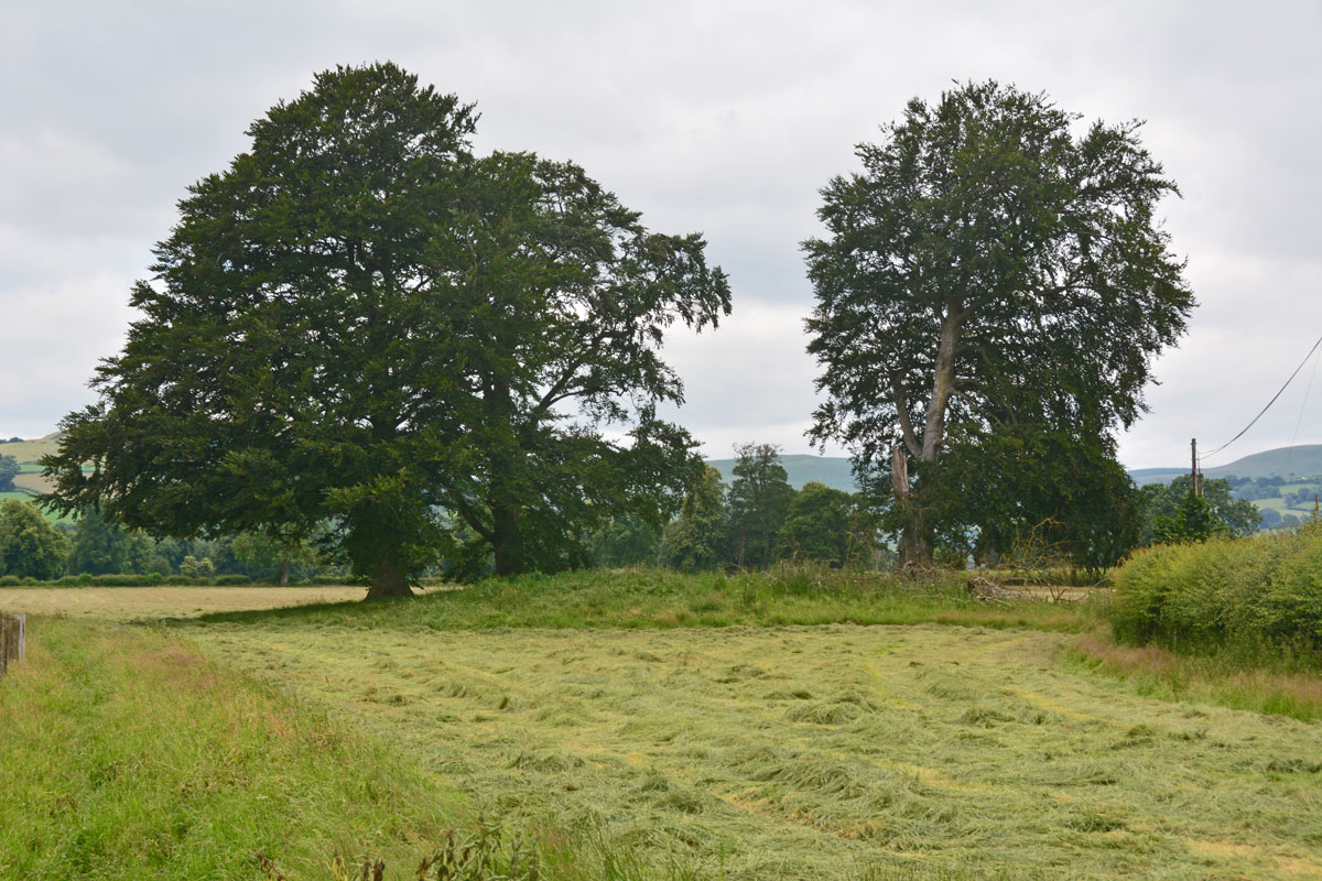 Click for the gallery page to add comments and vote (PID:229858) Harpton Round Barrows