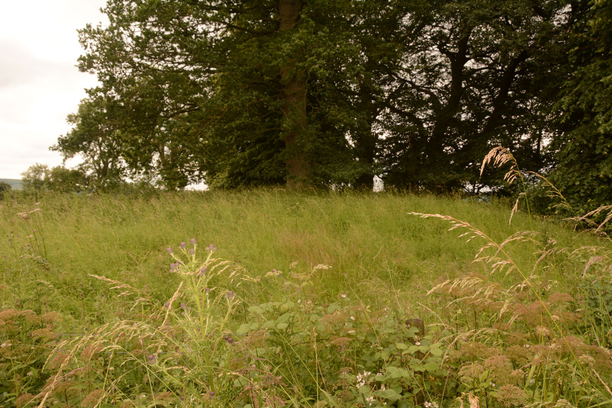 Click for full size image of Harpton Round Barrows (PID:229857) Harpton Round Barrows