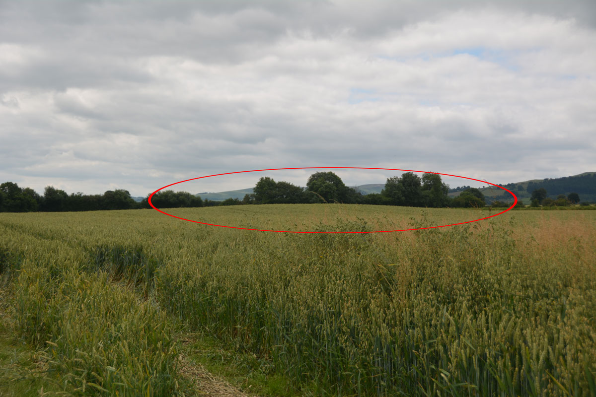Click for the gallery page to add comments and vote (PID:229899) Crossfield Lane Barrow (Kinnerton)