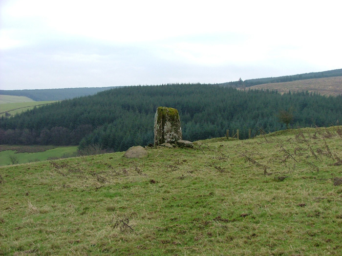 Click for the gallery page to add comments and vote (PID:54636) Troed Rhiw Wen standing stone