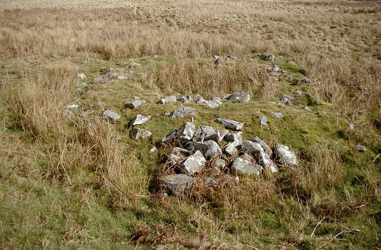 Click for the gallery page to add comments and vote (PID:38472) Llyn-y-Tarw Hut Circle