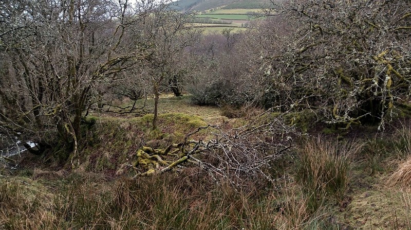 Berth-lwyd pond