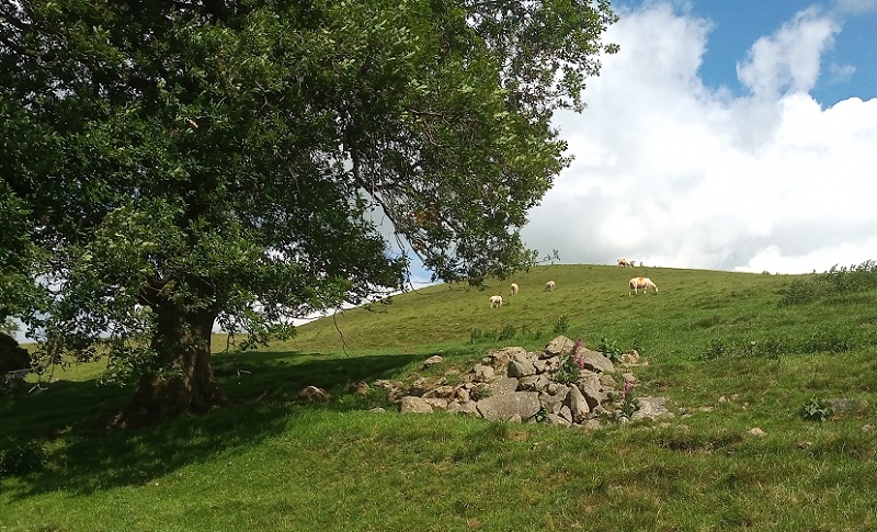 Click for the gallery page to add comments and vote (PID:212992) Battle Hill Cairn 2